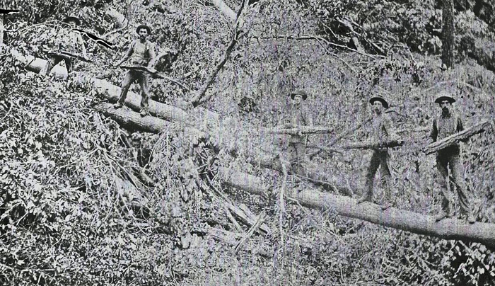 BarkCampEarly1900s