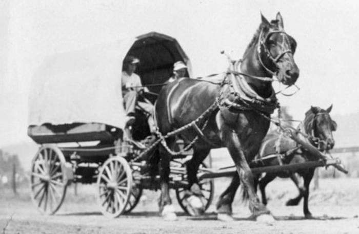 CarriageWillits