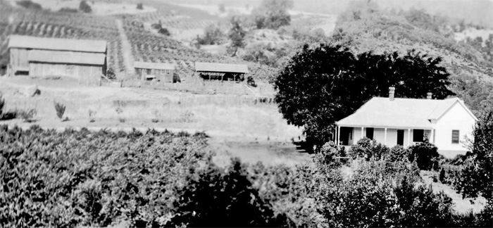 CummiskeyFarm