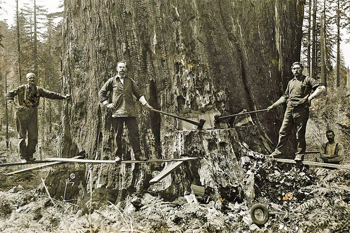 EarlyHandLoggers