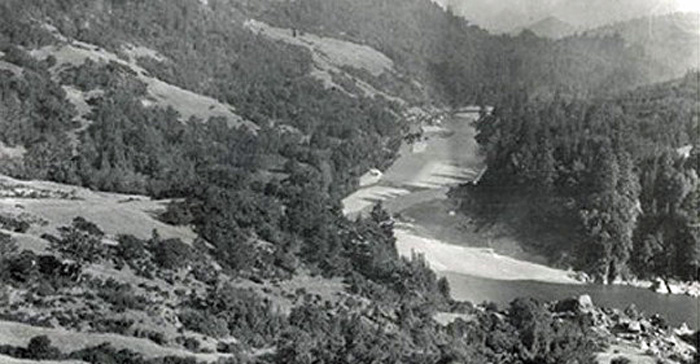 EelSoBranchMidFork