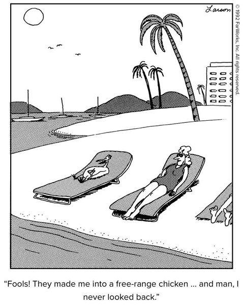 LarsonCartoon