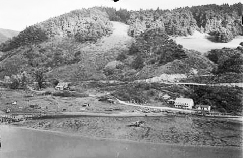 MendoShoreline