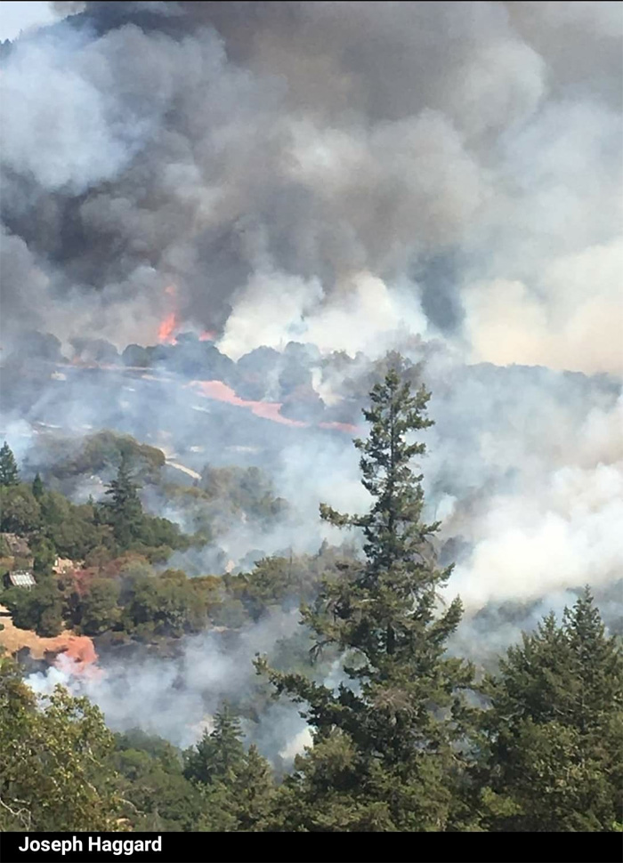 OakFireWillits