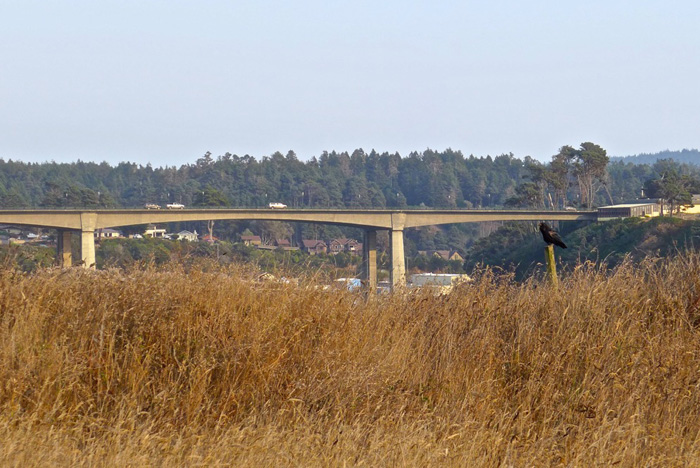 SentinelBridgeDW