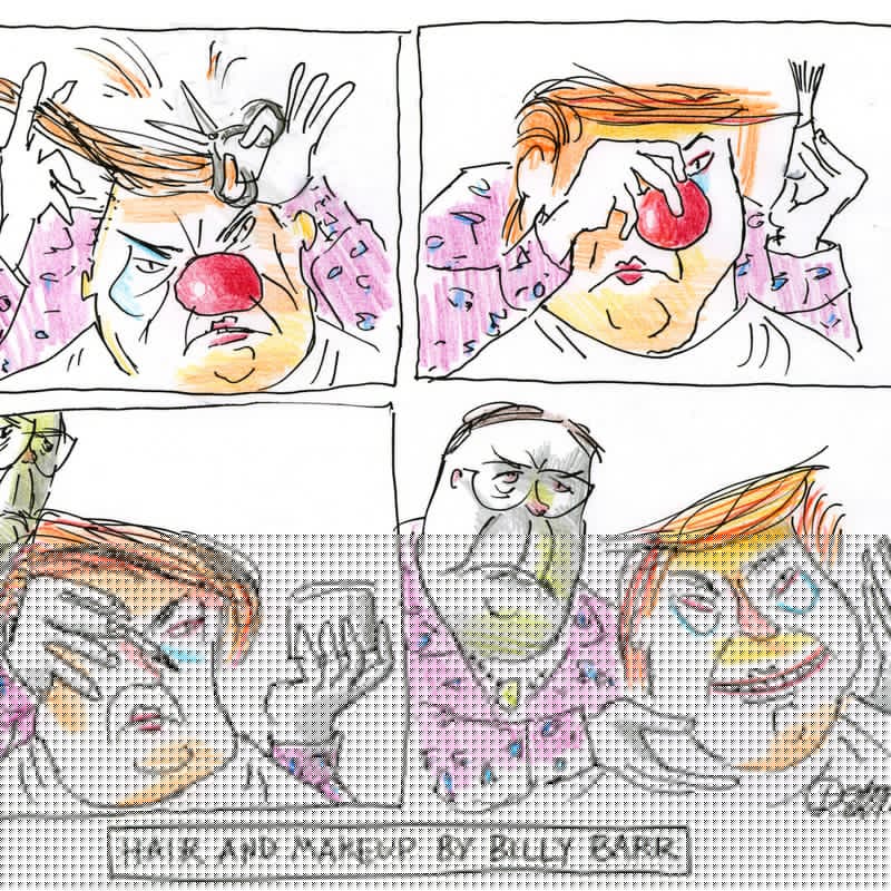 SteinerCartoon