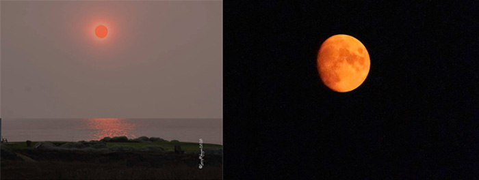 WagnerSun&Moon