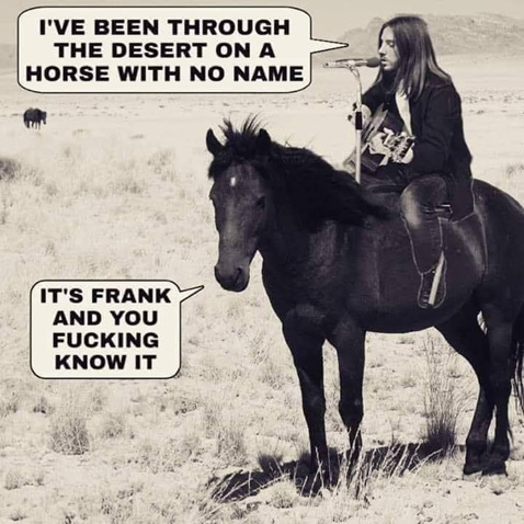 AHorseNamedFrank