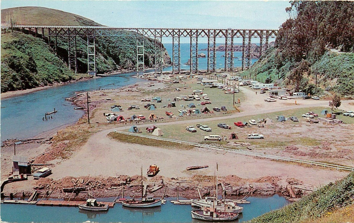 Albion50s