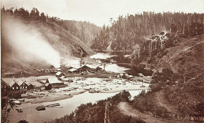 AlbionLumberMill