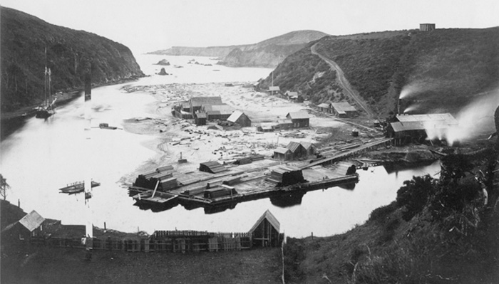 AlbionMill