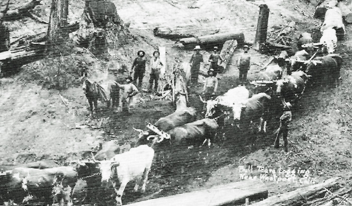 BullTeamWagesCreek3