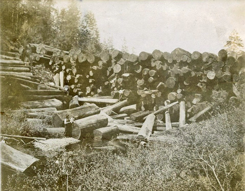 CasparCreekLogs