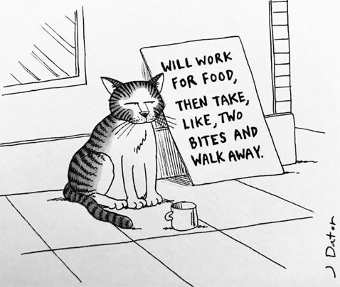 CatWork2