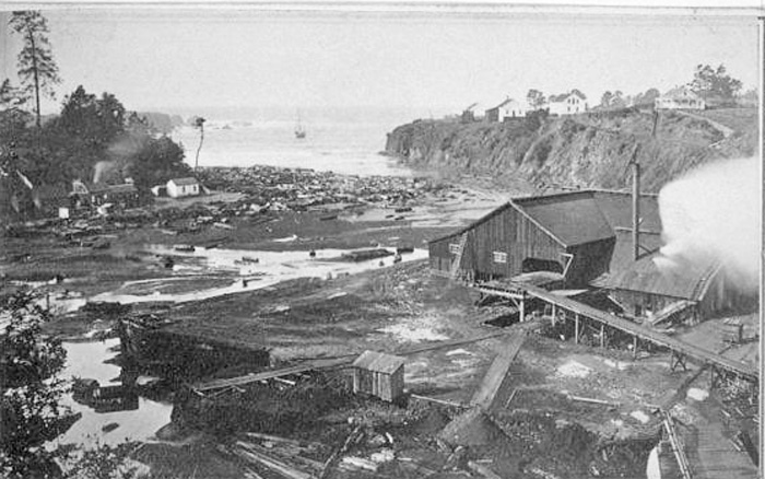 CoastLogMill