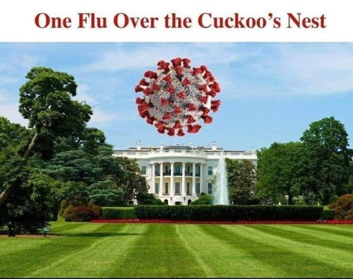 CuckoosNest2