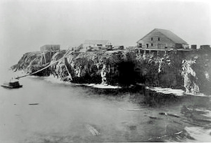 FirstSawmillMendocino1872