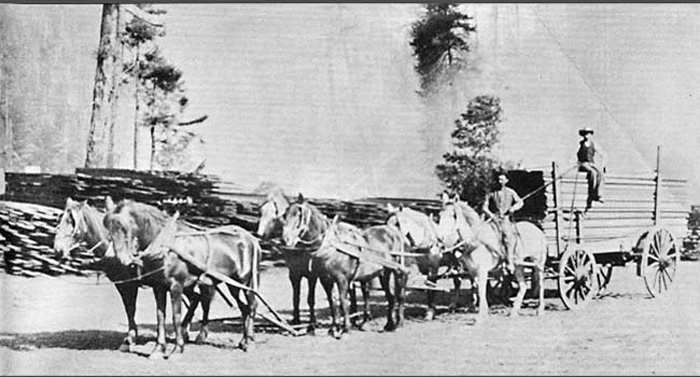 HaulingLumberWagesCreek