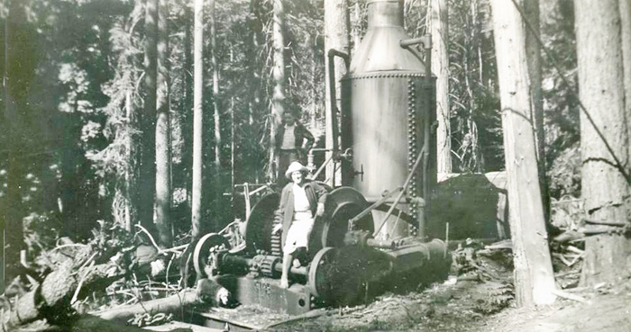 LoggingMachineMendoForest