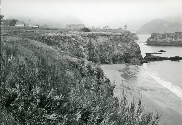 MendoCoastline