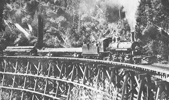 MendoLogTrain