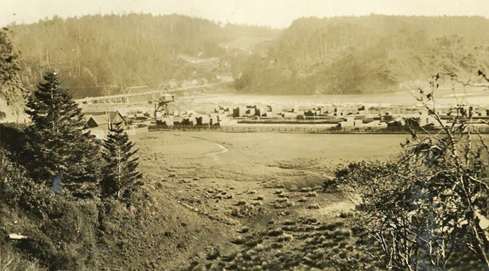 MendocinoLumberYard