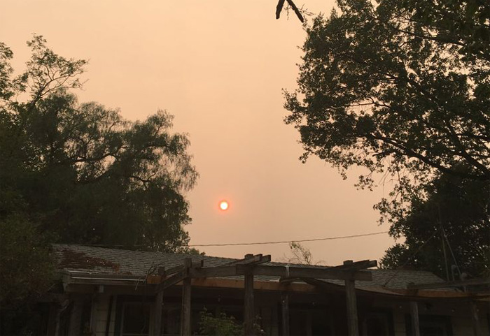 RaskinSun