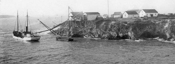 ShipOffMendocino