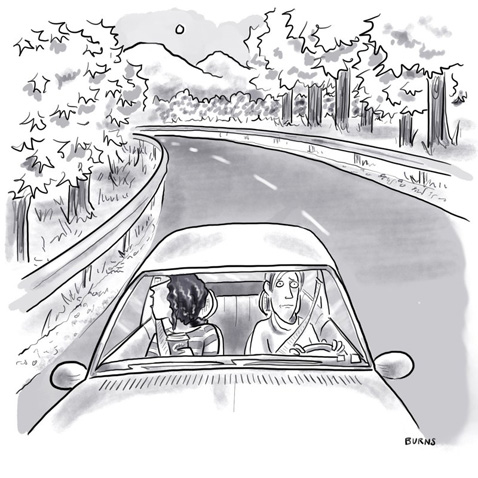 TeresaBurnsParkhurstCartoon