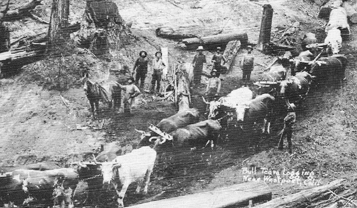 WagesCreekEarly1900s
