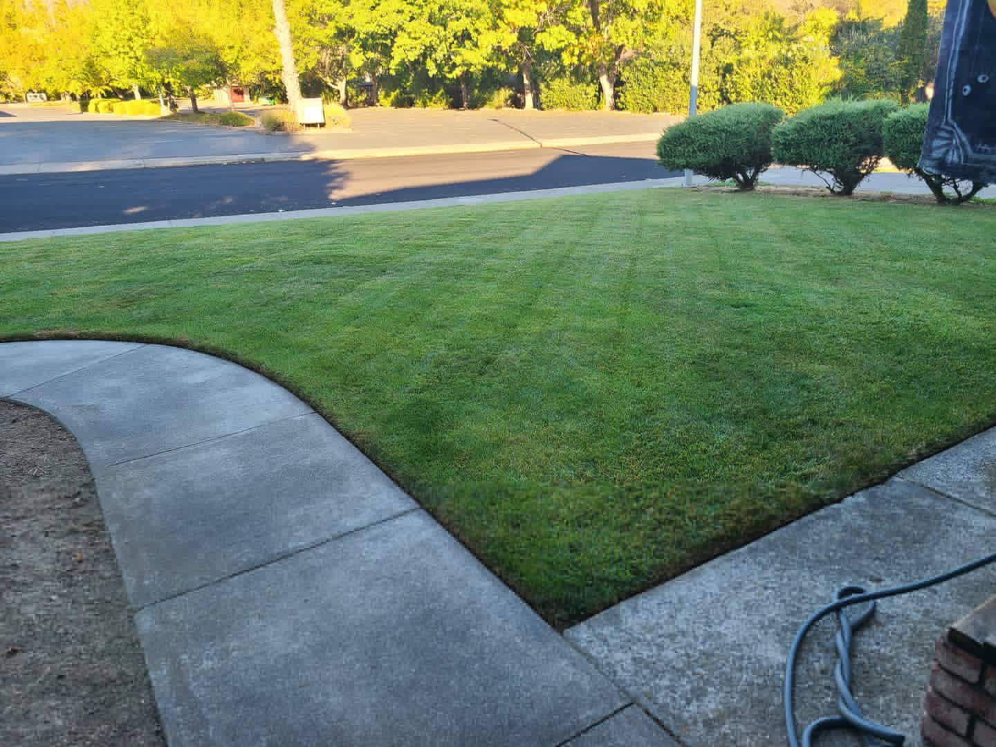 WellEdgedLawn